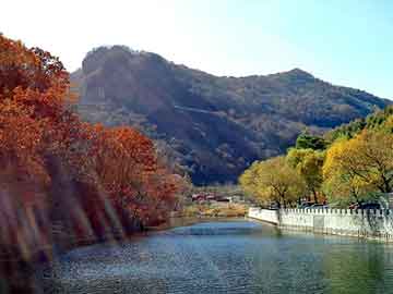 管家婆黑白马报图库，杞seo